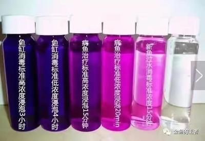 「養龍魚什么魚缸好用？從尺寸、材質到過濾系統的全方位指南」，「養龍魚必備魚缸選購指南，尺寸、材質與過濾系統全解析」
