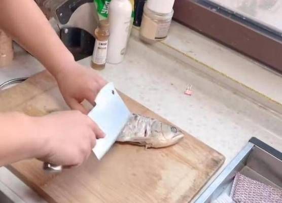 石家莊金龍魚(yú)，石家莊金龍魚(yú)石家莊代理