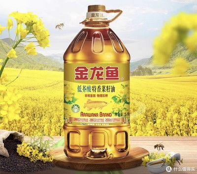 金龍魚最低價格多少錢（關于金龍魚的價格問題）