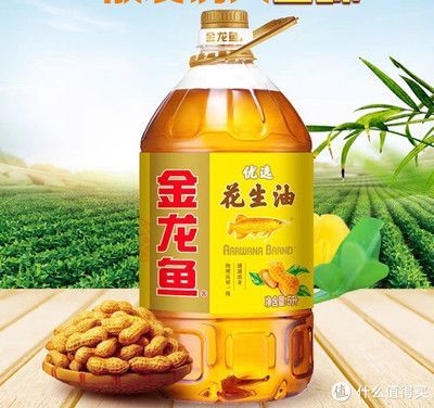 金龍魚最低價格多少錢（關于金龍魚的價格問題）