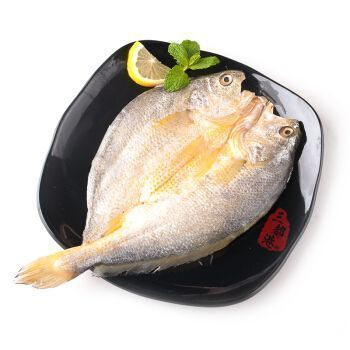龍魚的形狀（龍魚品種鑒賞指南）