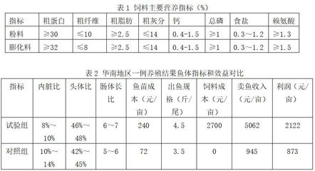龍魚水質不好怎么辦用什么調理好：龍魚水質如何調理