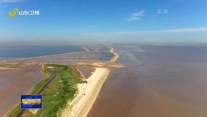 為什么有錢人都養(yǎng)金龍魚？揭秘風(fēng)水魚背后的財富密碼，富人鐘愛金龍魚的真相，風(fēng)水魚背后的財富玄機