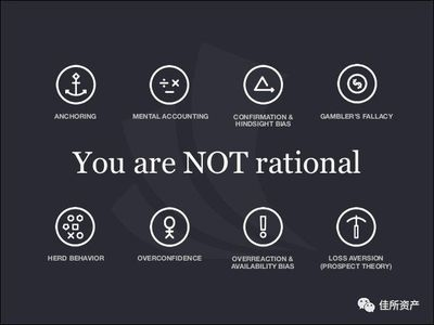 龍魚混養(yǎng)大全圖片欣賞：龍魚混養(yǎng)大全，觀賞與生態(tài)的奇妙融合