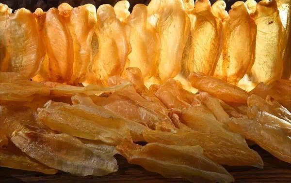 金龍魚膠有分公母嗎，金龍魚膠不在那些被明確區分公母的魚膠品種列表中