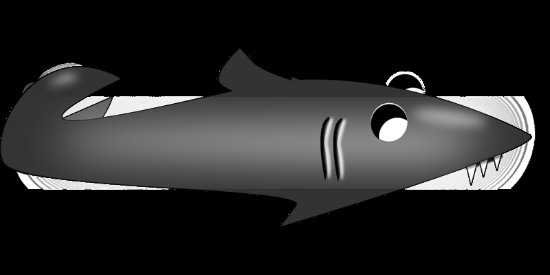 彩裙魚為啥叫天使魚，揭秘這一美麗水族寵物的別稱由來，彩裙魚為何被稱為天使魚？揭秘這一水族寵物的別稱由來