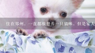 長春哪里有賣雷龍魚的市場啊多少錢：長春雷龍魚市場的探秘之旅