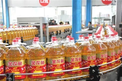 金龍魚國外企業怎么上市，金龍魚在國外上市之路 金龍魚國外企業怎么上市，金龍魚在國外上市之路 龍魚百科 第1張