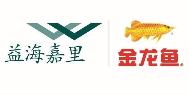 金龍魚國外企業怎么上市，金龍魚在國外上市之路 金龍魚國外企業怎么上市，金龍魚在國外上市之路 龍魚百科 第3張