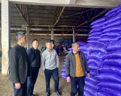金龍魚進貨渠道是什么，金龍魚生產基地布局分析