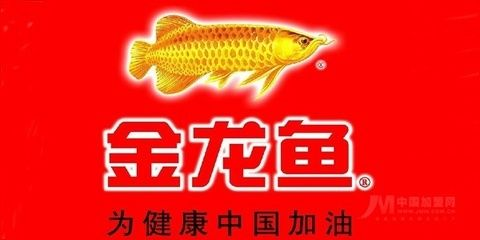 金龍魚加盟代理條件（金龍魚加盟優勢分析）