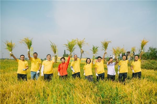 金龍魚江西總經銷（關于金龍魚江西總經銷的公告）