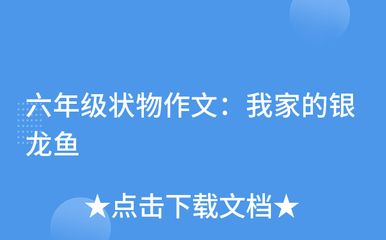 龍魚作文500，外語:龍魚作文
