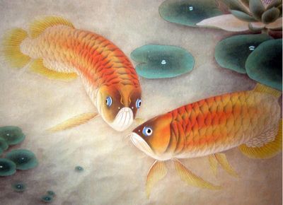 哪種龍魚最容易飼養呢：龍魚飼養指南，哪種龍魚最容易飼養？