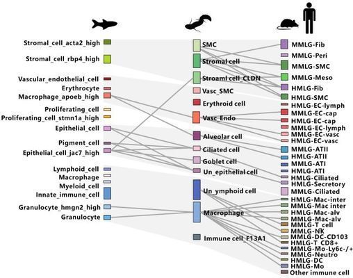 魚昵稱好聽又有內涵，賦予水中精靈獨特魅力的名字藝術，靈韻悠游，賦予水中精靈獨特魅力的內涵魚名藝術