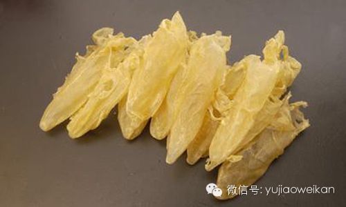 金龍魚膠真假如何辨別，金龍魚膠泡發后的鑒別技巧