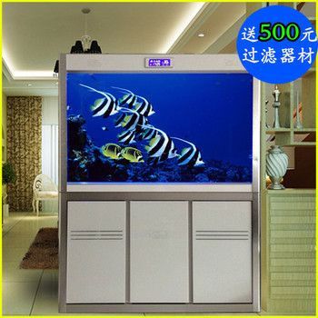 龍魚到家多久換水，龍魚到家后換水時機的詳細信息，龍魚到家后應該注意什么
