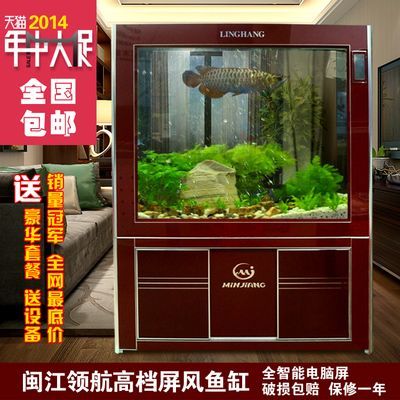 龍魚到家多久換水，龍魚到家后換水時機的詳細信息，龍魚到家后應該注意什么