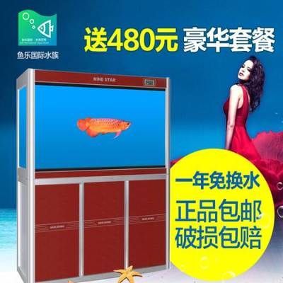 龍魚到家多久換水，龍魚到家后換水時機的詳細信息，龍魚到家后應該注意什么