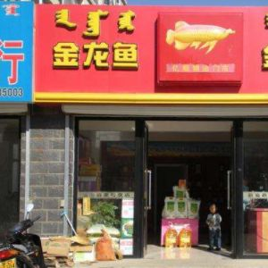 金龍魚加盟電話地址,金龍魚加盟電話地址0571-86923456 龍魚百科 第4張 金龍魚加盟電話地址,金龍魚加盟電話地址0571-86923456 金龍魚加盟電話地址,金龍魚加盟電話地址0571-86923456 龍魚百科 第4張
