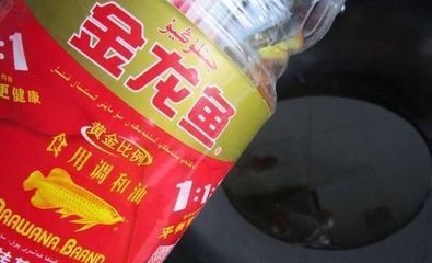 金龍魚有沒有刺，金龍魚刺卡喉急救方法