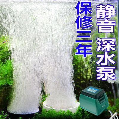 龍魚需要增氧泵嗎