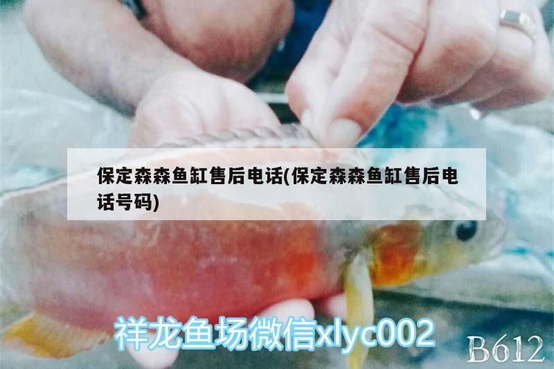 保定森森魚缸售后電話(保定森森魚缸售后電話號(hào)碼)