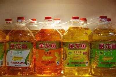 如何挑選金龍魚的好壞，如何挑選金龍魚