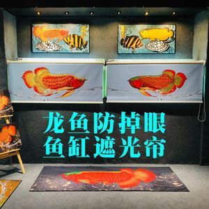 龍魚(yú)可以用藥水上色嗎，如何給龍魚(yú)上色