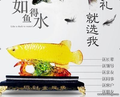 巨大金龍魚：巨大金龍魚在b站上有多個與金龍魚相關的視頻內容