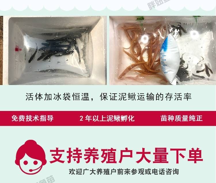 龍魚耐活嗎，龍魚壽命受到多種因素的影響
