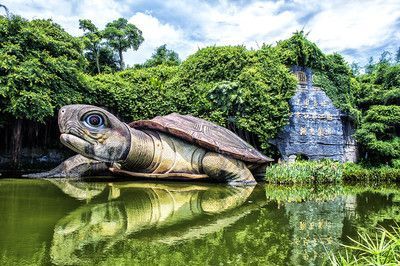 龍魚攝影作品，龍魚攝影作品分享