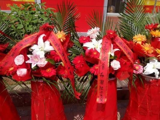 金龍魚專賣店怎么樣，金龍魚專賣店在產品質量、價格、服務、品種選擇和品種選擇
