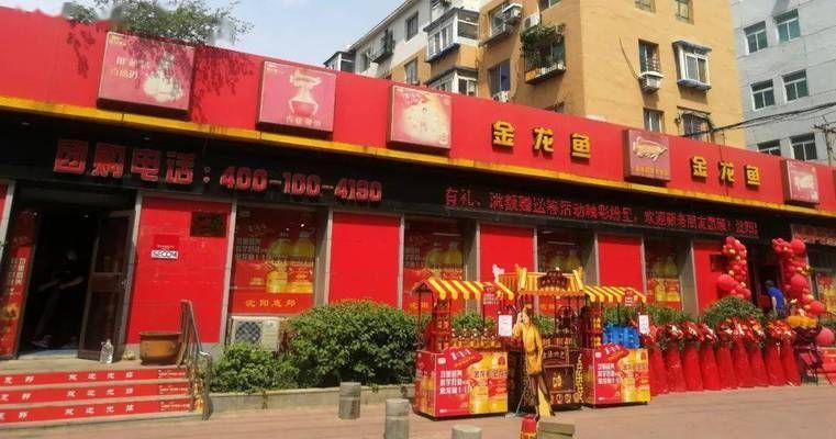 金龍魚專賣店怎么樣，金龍魚專賣店在產品質量、價格、服務、品種選擇和品種選擇