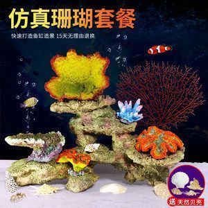 孔雀魚可以喂龍魚嗎，孔雀魚和龍魚在飲食上有什么區(qū)別？