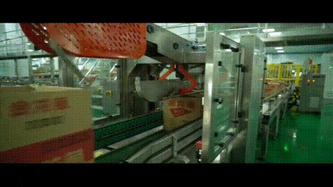 金龍魚小包裝車間