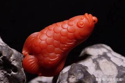 十大最貴金龍魚寓意是什么，十大最貴金龍魚寓意及其相關(guān)信息詳細(xì)解析：金龍魚
