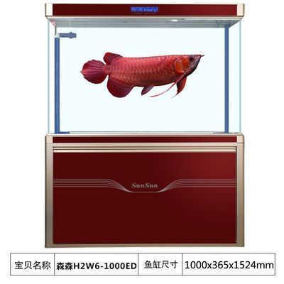 龍魚用什么缸養比較好一點，養殖龍魚需要注意魚缸的選擇，龍魚魚缸風水布局技巧