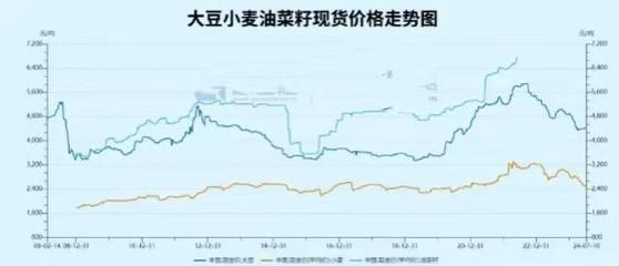金龍魚價格走勢分析圖，分析金龍魚價格走勢