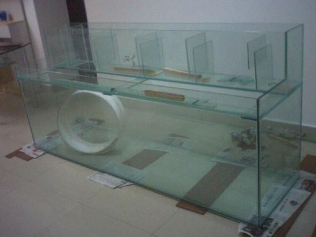 金龍魚用什么過濾器材最好（金龍魚用什么過濾器材）