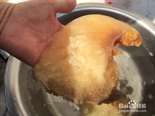 龍魚靠什么辨別食物真假，龍魚如何辨別食物的真假