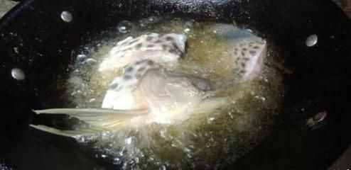 金龍魚白眼怎么治？：金龍魚出現(xiàn)白眼癥狀可能是由于多種原因引起的，治療方法不同