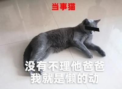 金龍魚白眼怎么治？：金龍魚出現(xiàn)白眼癥狀可能是由于多種原因引起的，治療方法不同