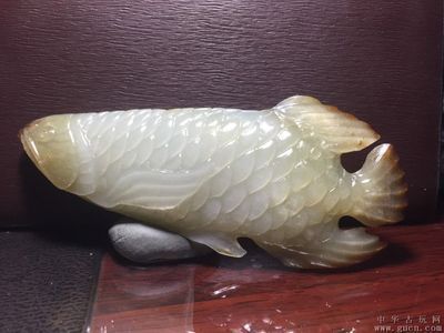 龍魚拍賣價格，龍魚拍賣價格影響因素