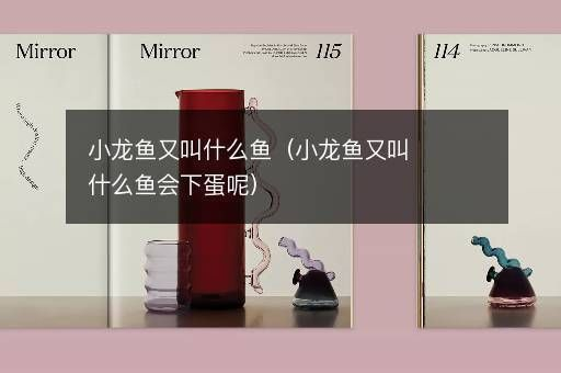 迷你小龍魚怎么養(yǎng)及喂養(yǎng)技巧（迷你小龍魚的飼養(yǎng)和喂養(yǎng)技巧）