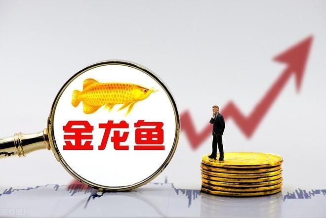 金龍魚業績持續下滑，金龍魚業績持續下滑怎么辦？