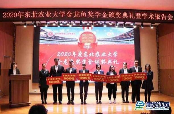 金龍魚獎學金是什么級別，金龍魚獎學金