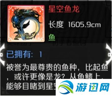 龍魚最好的配魚方式，健康龍魚配魚水質管理技巧，龍魚混養環境布置指南