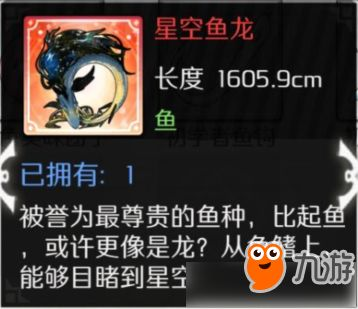 龍魚最好的配魚方式，健康龍魚配魚水質管理技巧，龍魚混養環境布置指南