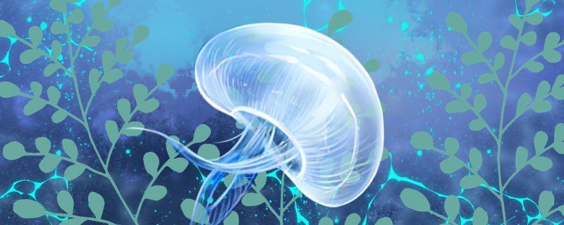 銀板魚(yú)人工繁殖技術(shù)要點(diǎn)（銀板魚(yú)人工繁殖技術(shù)要點(diǎn)包括以下幾個(gè)方面銀板魚(yú)的人工繁殖技術(shù)）